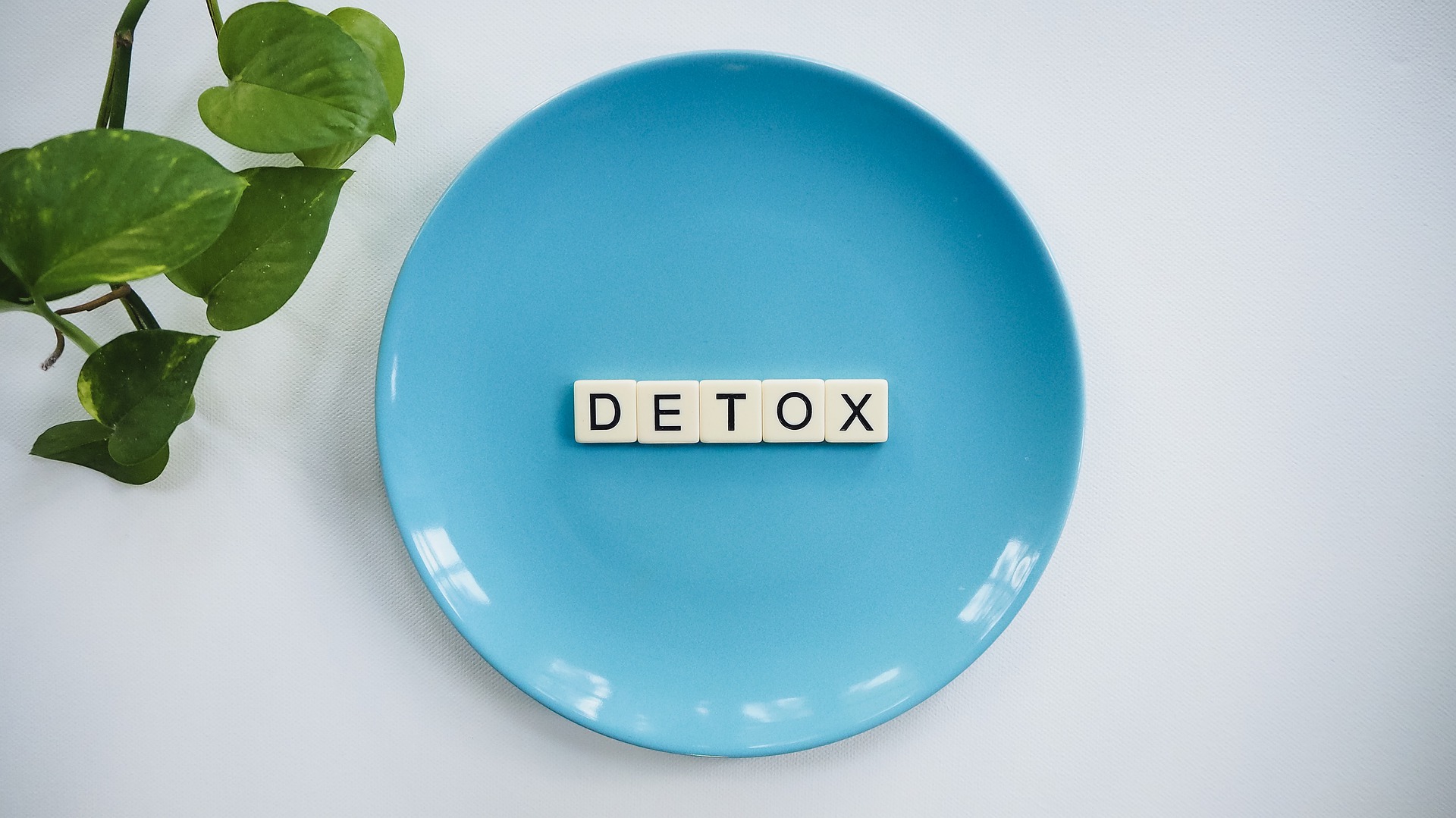 gesund entgiften für ein neues positives lebensgefühl