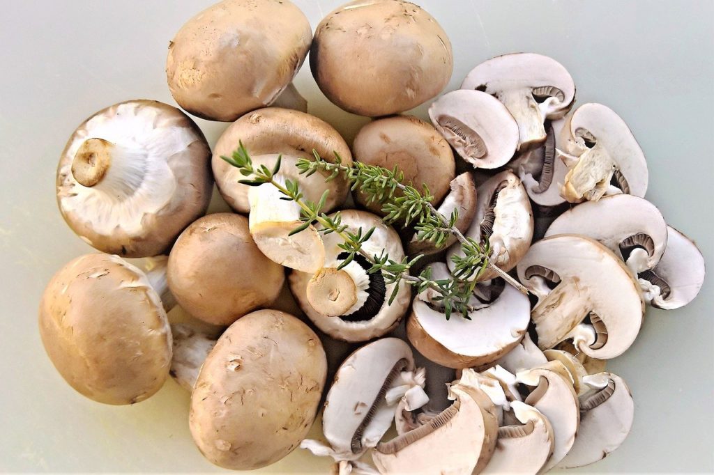 champignons sind reich an Vitamin D. Symbolbild. 